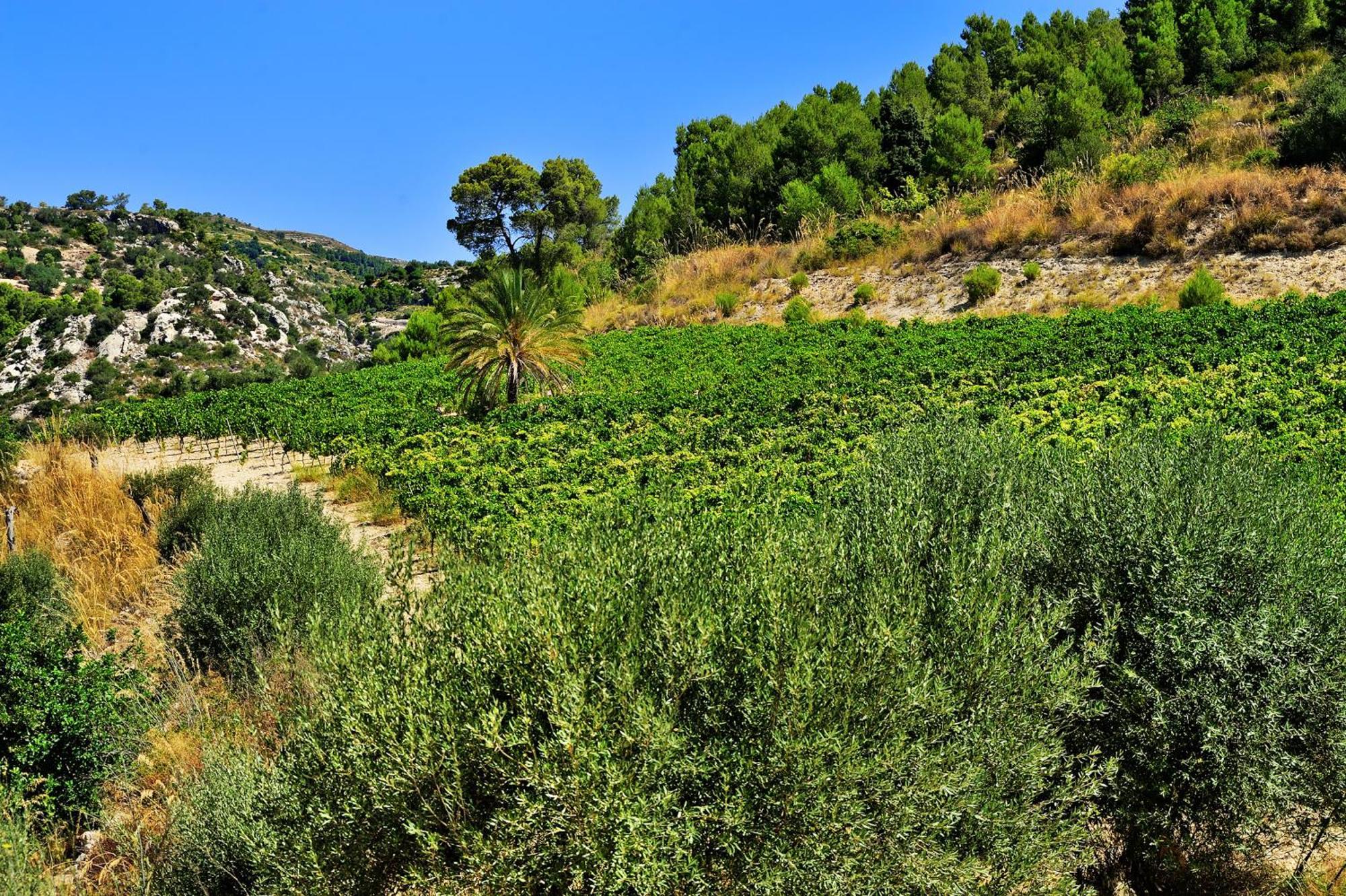 Kallikoros Country Resort & Spa Noto Exterior foto