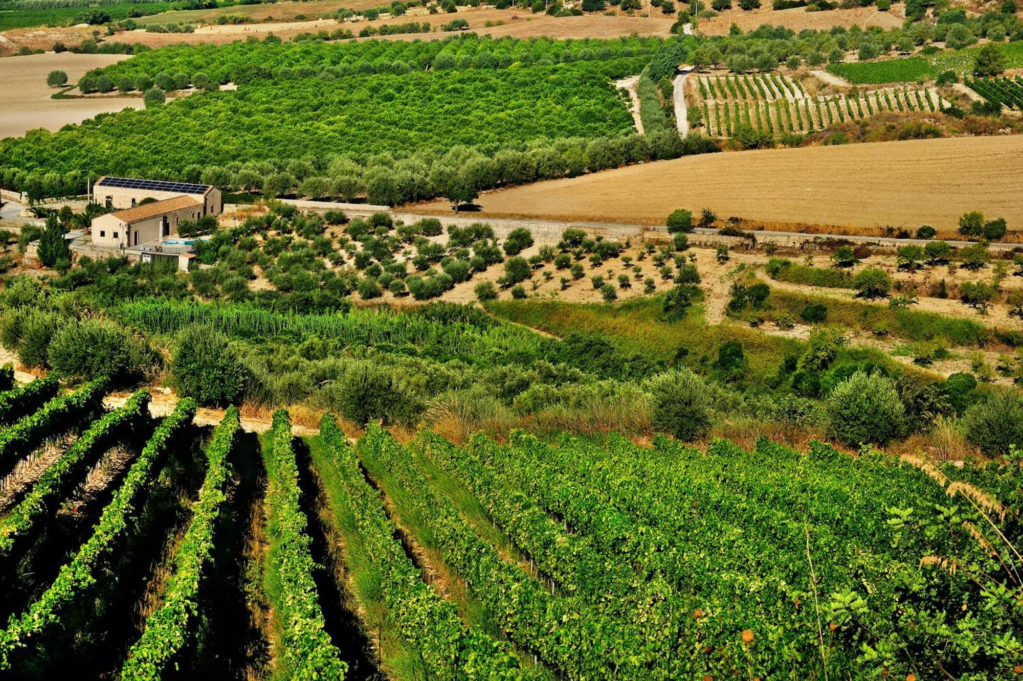 Kallikoros Country Resort & Spa Noto Exterior foto