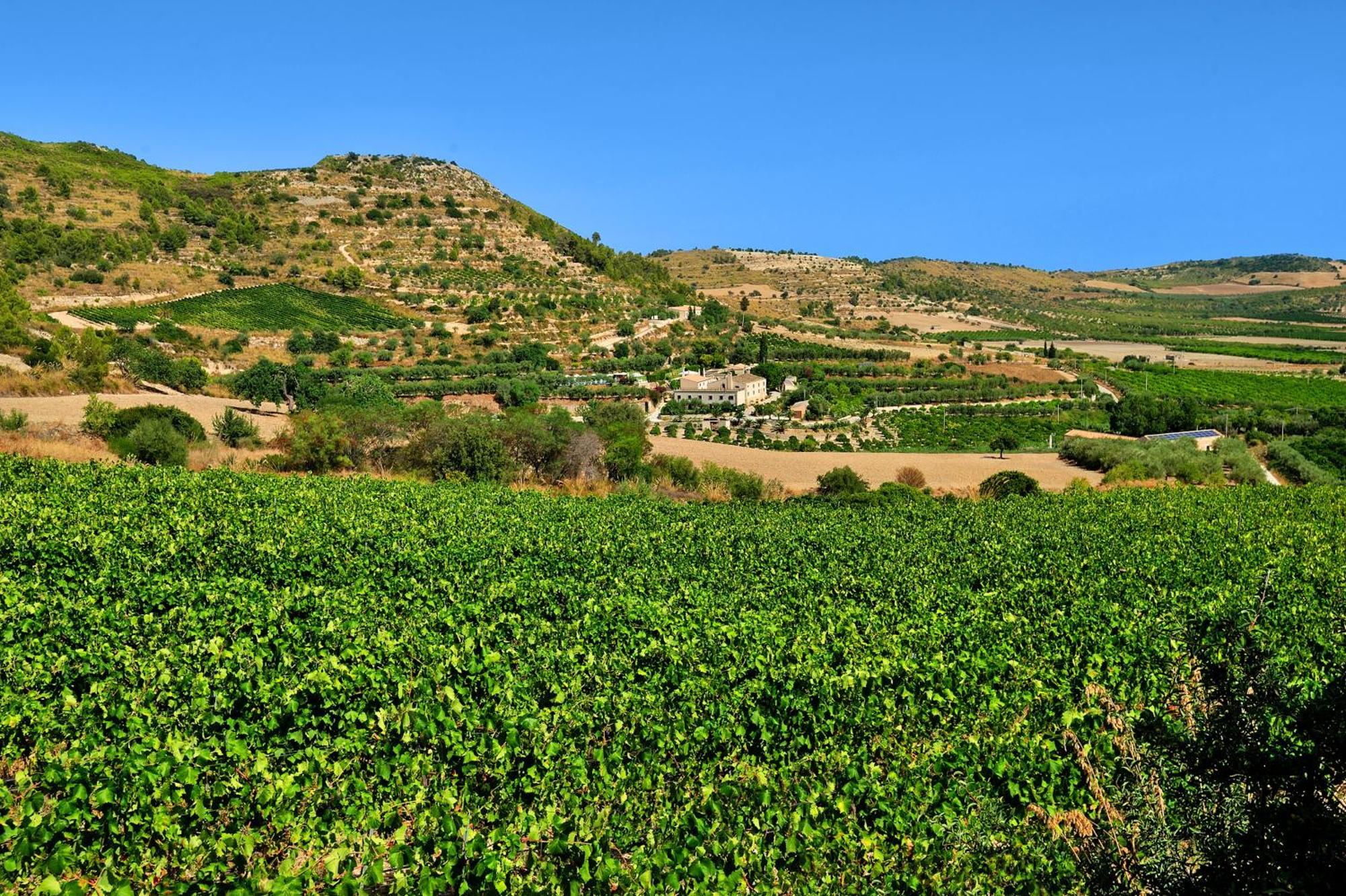Kallikoros Country Resort & Spa Noto Exterior foto