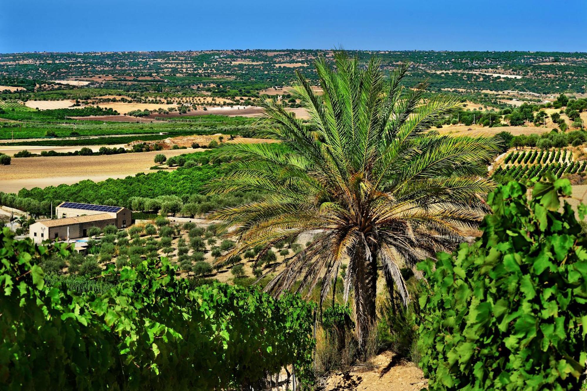 Kallikoros Country Resort & Spa Noto Exterior foto