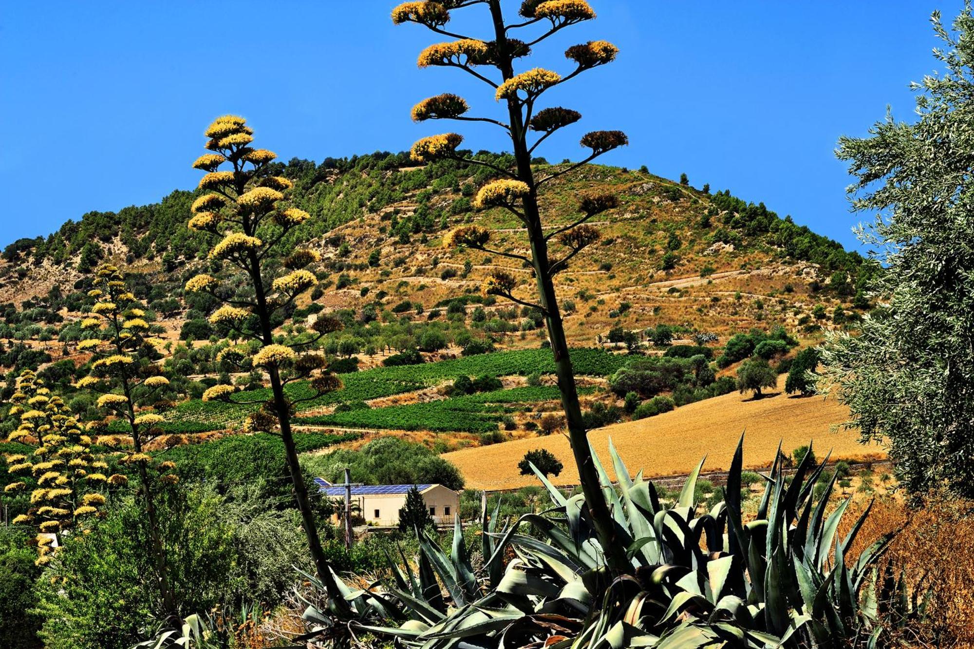 Kallikoros Country Resort & Spa Noto Exterior foto