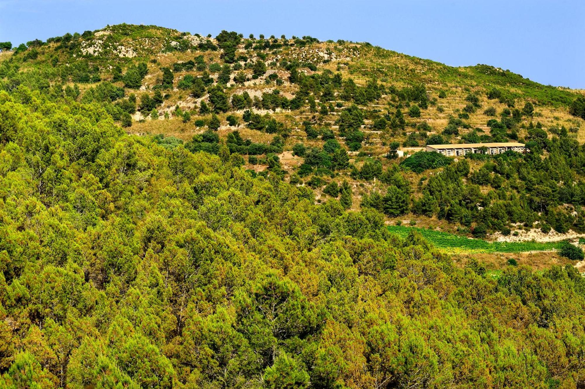Kallikoros Country Resort & Spa Noto Exterior foto