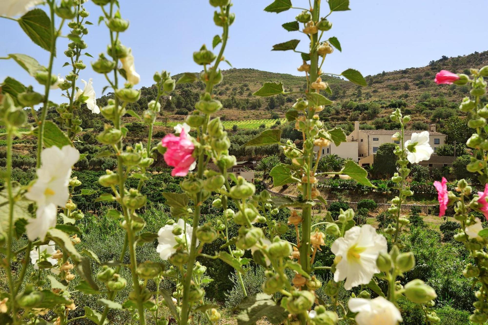 Kallikoros Country Resort & Spa Noto Exterior foto